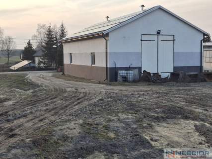 Kompleks budynków gospodarczych po pieczarkarni