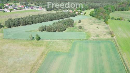 Duża działka 1,25 ha-Borucice