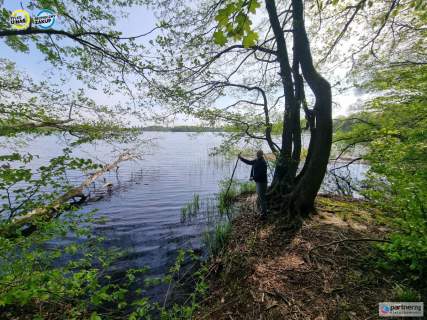 Działka nad jeziorem Salińskim