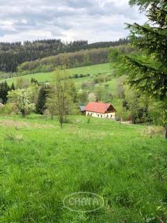 Działka/Zagórze Śląskie/okolice