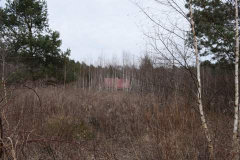 Działki pod budownictwo 13,87a - Wysoka Głogowska