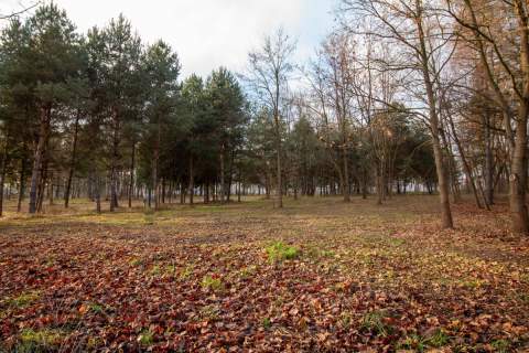 Działka budowlana Koszęcin 1024m2 ul. Słowików