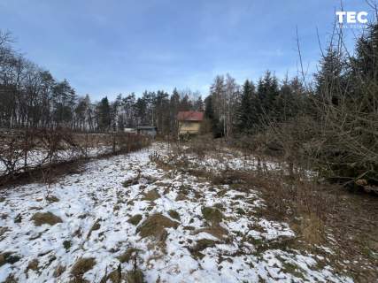 Dom marzeń Las Piękny widok