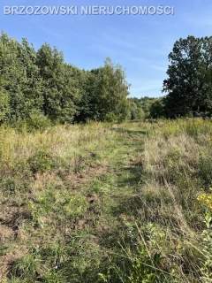 Kąty Wegierskie, 2380 m2, MPZP, 2 domy dwulokalowe