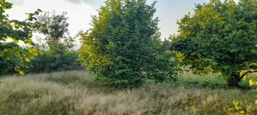 Ładna, uzbrojona działka pod lasem-33a-Wilczopole