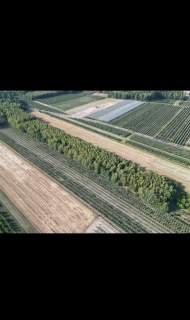 Sprzedam dwie działki w pakiecie, po 3000 m2 każda Piekut