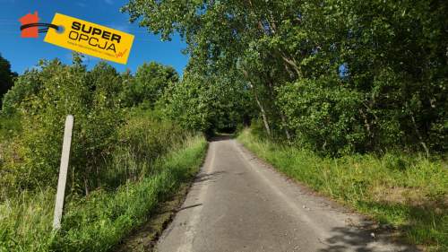 Urocza zielona działka z WZ 37,56ar Odrzykoń