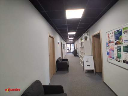 biuro klasy premium centrum miasta 200 m2