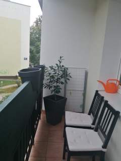 KAWALERKA DO WYNAJĘCIA