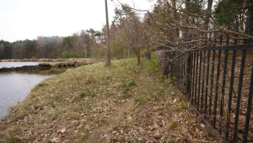 5,42 ha, Stawy rybne, las, Zemborzyce, Lublin