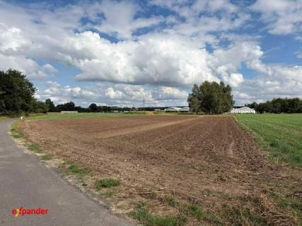 Działka rolna o pow. 4180 m2, Rajsków Kalisz