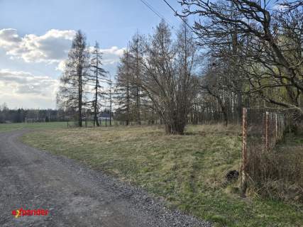 Blisko szkoły w Wierzchowisku
