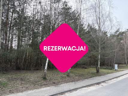 Na sprzedaż działki w Golubiu Dobrzyniu
