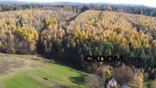 Działka inwestycyjna Cisów 22 500 m 