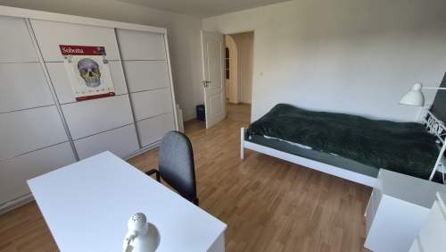 Wyjątkowy dom z potencjałem Opole winów 370m