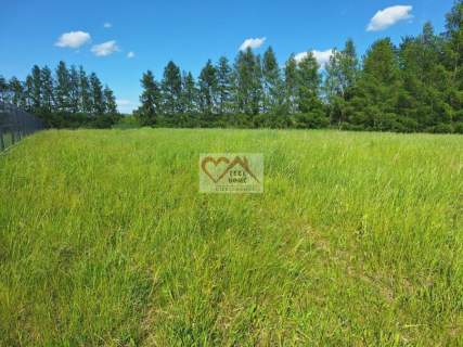 Rukławki gm. Biskupiec - ATRAKCYJNE DZIAŁKI REKR