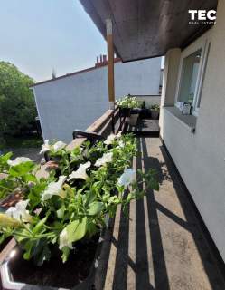 Bliźniak po remoncie pom. gospodarcze 234 m 