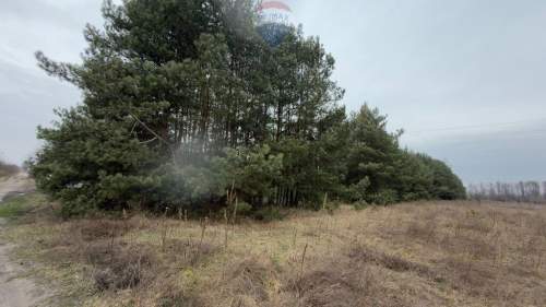Michałów - urokliwa działka budowlana 5500 m2