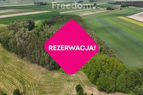 Urokliwe siedlisko w pobliżu rzeki Liwiec
