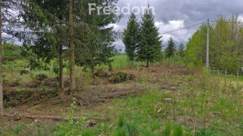 Malownicza działka 750m od jez Narie Warmia Mazury