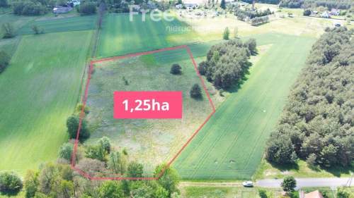 Duża działka 1,25 ha-Borucice