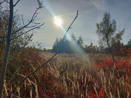 Działka budowlana na sprzedaż, 1195 m2, Wysoka