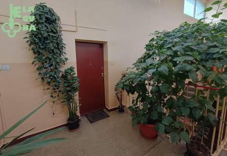 Mieszkanie w centrum Kutna 2 pokoje Tylko 5.400 zł/m2