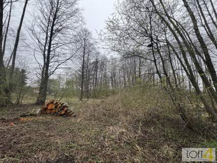 Działka z potencjałem pod Twój dom