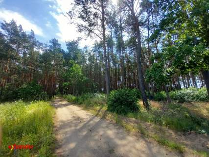 DZIAŁKA LEŚNA POD REKREACJĘ Z LASEM 789 M2 