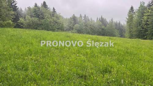 Sprzedam działkę budowlaną w górach.