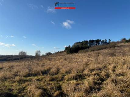Działka rolna na sprzedaż, 7539 m2, Miasteczko Krajeńskie