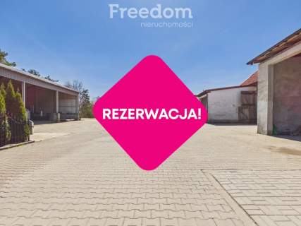 Gotowe gospodarstwo mleczne 46 ha
