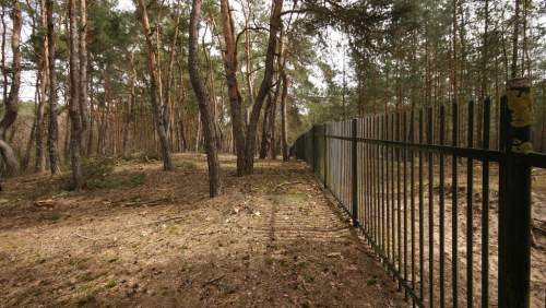5,42 ha, Stawy rybne, las, Zemborzyce, Lublin