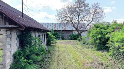 Działka budowlana 31ar z domem i budynkami