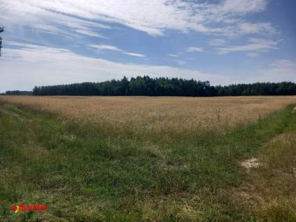 Kopalnia KRUSZYWA, żwirownia 37,2209 HA Z koncesją