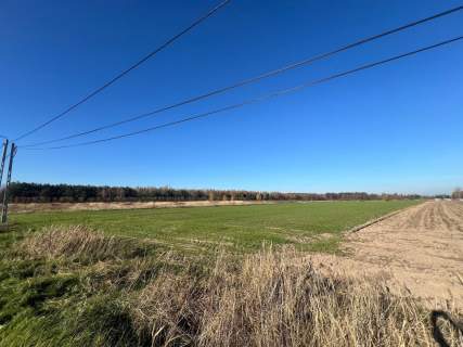 DZIAŁKA 1450 M2- WOLA GUTOWSKA