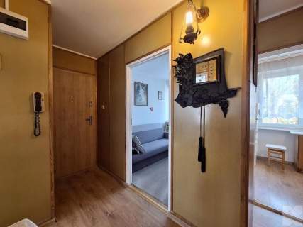 3 pokojowe mieszkanie na osiedlu Kmiecie