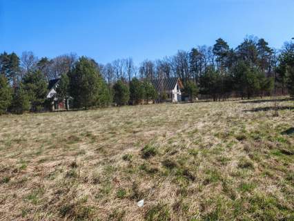 Działka 1170m2 Czapielsk, warunki zabudowy, media