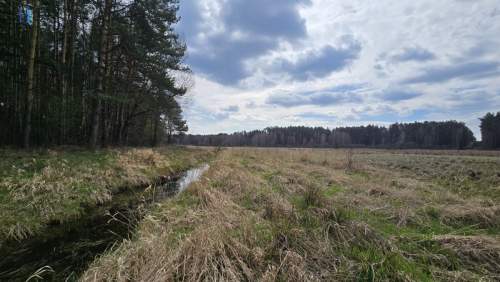 dom do remontu działki rolne i leśne