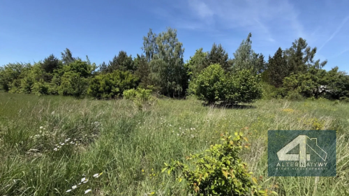 Michałów Duża Działka ok. 2445m MPZP