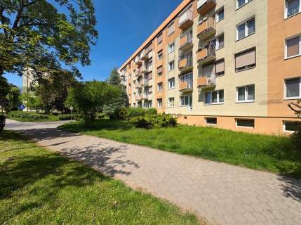 Przytulne Mieszkanie 1 piętro 2 pokoje Śrem