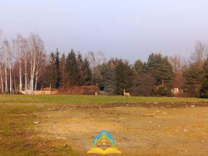 Doskonały teren pod inwestycję blisko trasy S7 