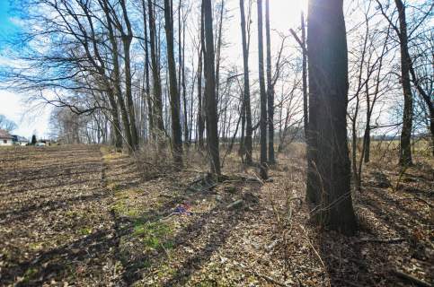 Strumień Zbytków działka budowlana 2515 m
