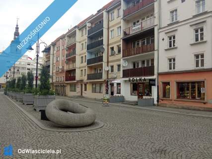 Do wynajęcia lokal użytkowy w centrum   Rynek 36, Legnica
