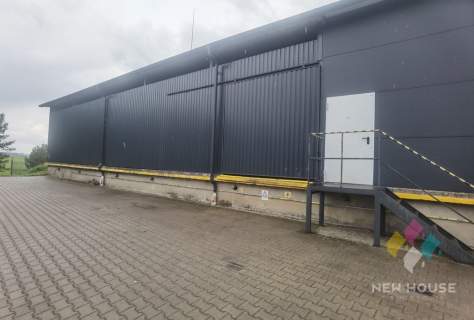 Hala do wynajęcia 200m2 przy S51 na Warszawę