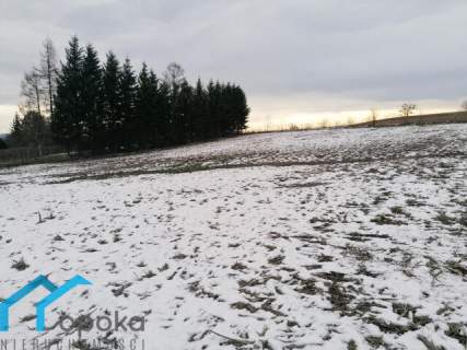 Goleszów działka budowlana 1013 m2