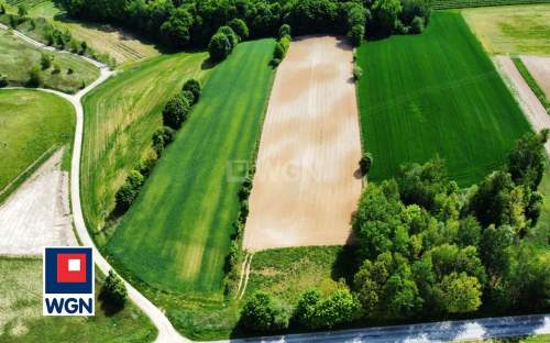 Działka na sprzedaż, 9950 m2, Celejów