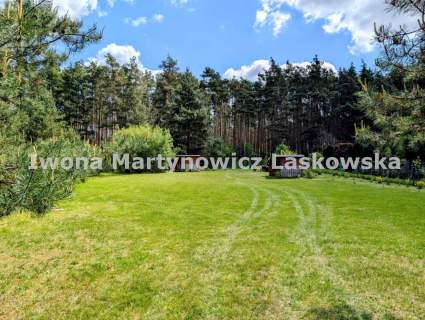 Działka rekreacyjna pod lasem - 60 km od Wrocławia