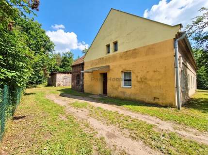 Gospodarstwo rolne na sprzedaż