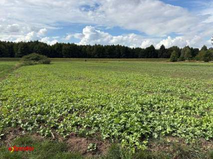 Działka rolna o pow. 2345 m2, os. Rajsków, Kalisz